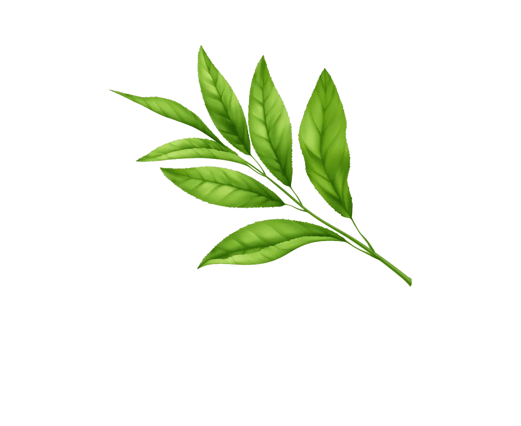 Artboard 1 copy 5